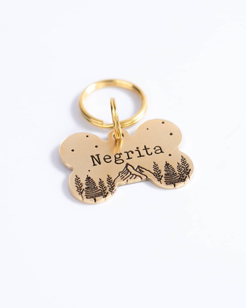 Adventurer Pet ID Tag | Plaquita para perro o gato personalizada - Imagen 2