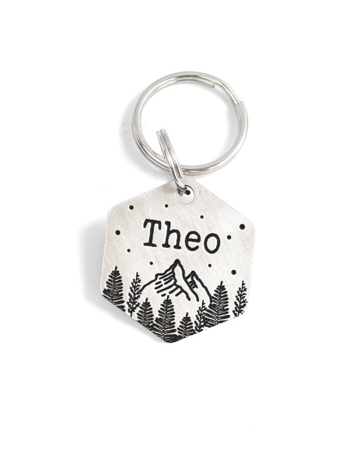 Adventurer Pet ID Tag | Plaquita para perro o gato personalizada