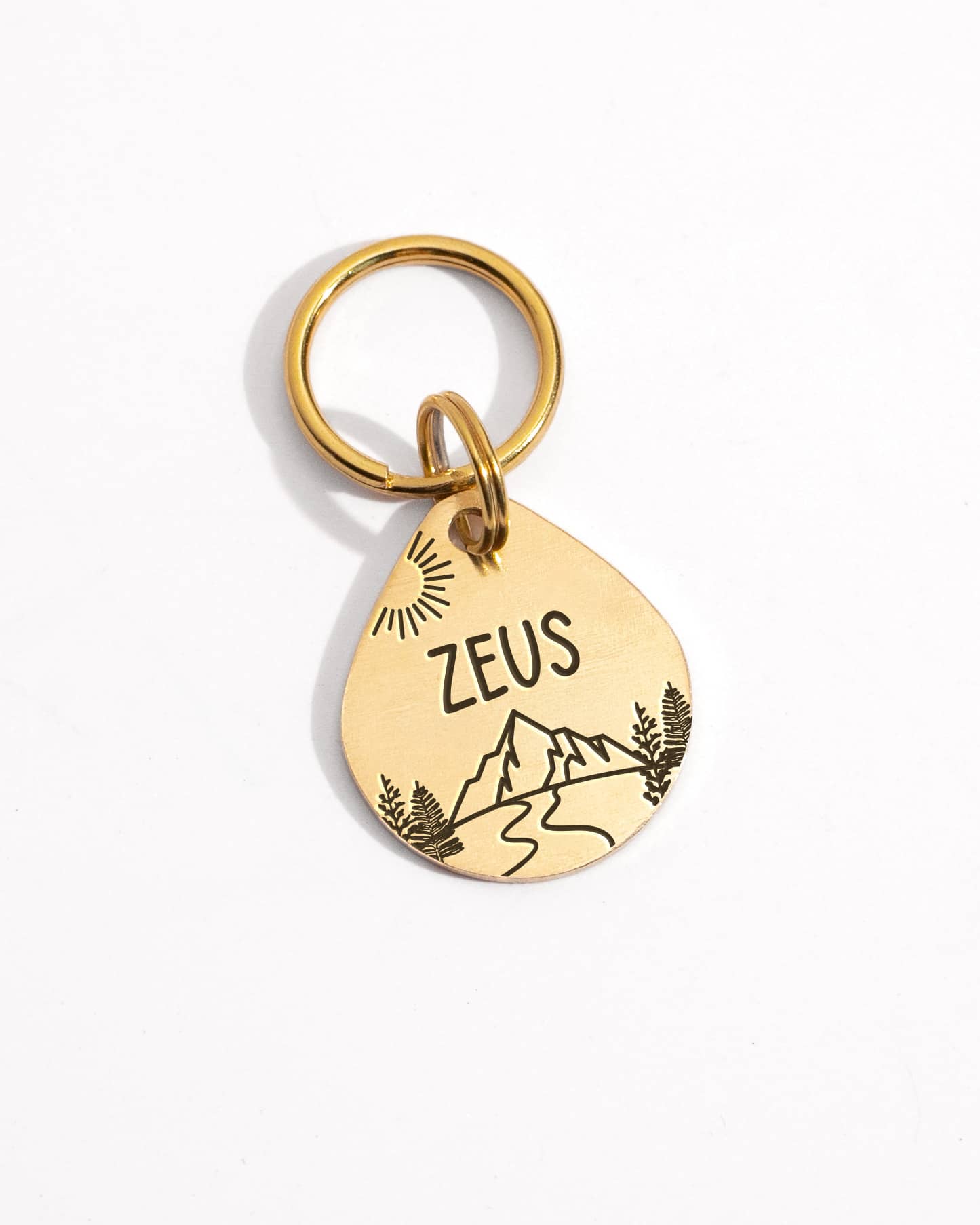 Hiker Buddy ID Tag | Placa personalizada para perro o gato - Imagen 2
