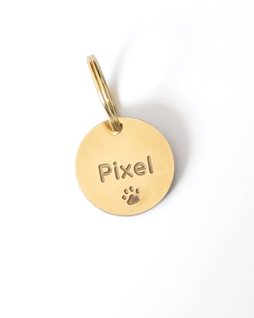 placa de identificacion para mascotas grandes, con grabado del nombre y de una huella y atras el numero de telefono. Medalla de metal resistente y duradero en Guatemala- circulo dorado