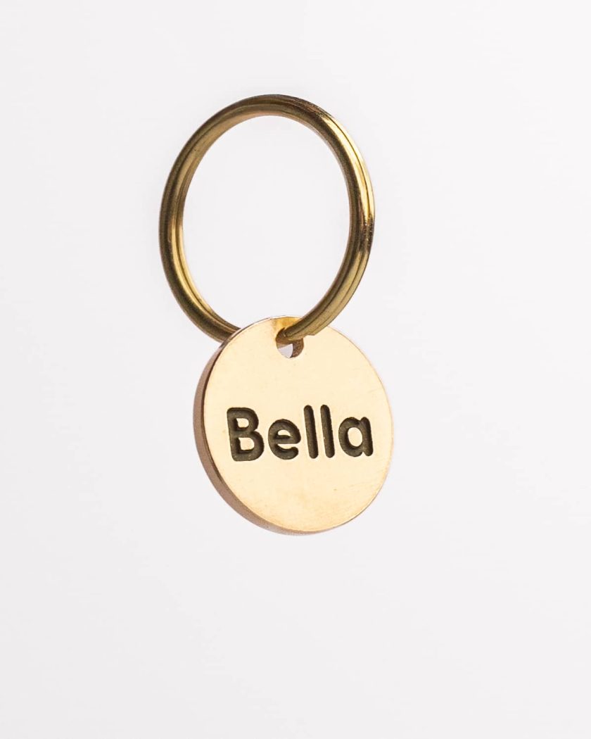 Placa de identificación para mascotas pequeñas personalizada - minimal - Imagen 4
