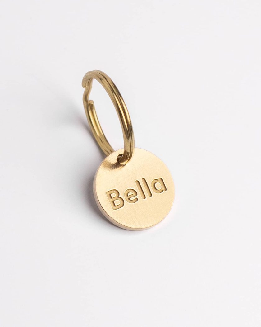 Collar personalizado con pet id tag personalizado, para perros o gatos pequeños. circulo con nombre de la mascota y número de teléfono atrás.