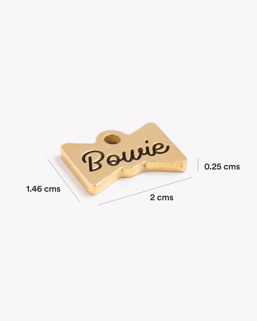 Placa de Identificación para Mascotas Pequeñas - Corbatín Minimal - Imagen 5
