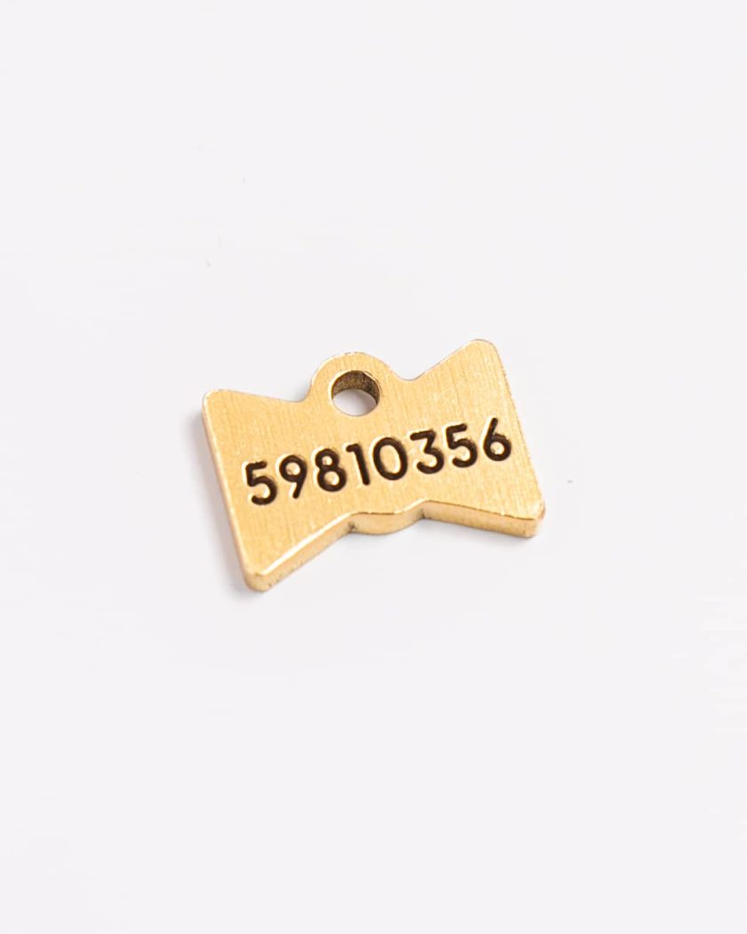 Placa de Identificación para Mascotas Pequeñas - Corbatín Minimal - Imagen 4