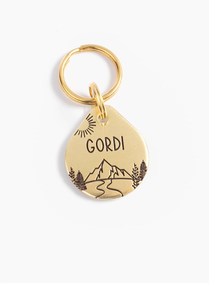 Placa para mascotas medianas en Guatemala. Material duradero, latón o acero inoxidable.