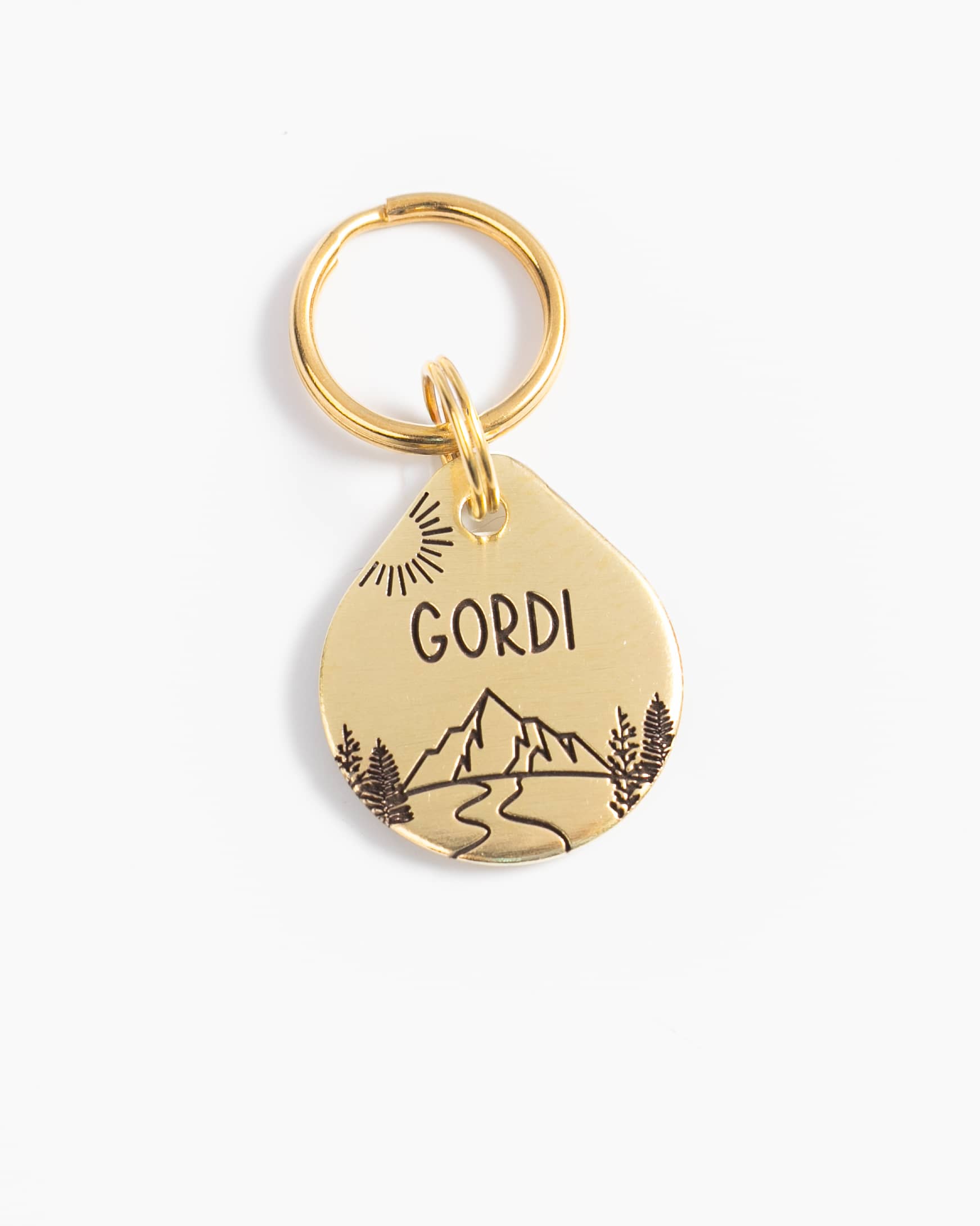 Placa para mascotas medianas en Guatemala. Material duradero, latón o acero inoxidable.