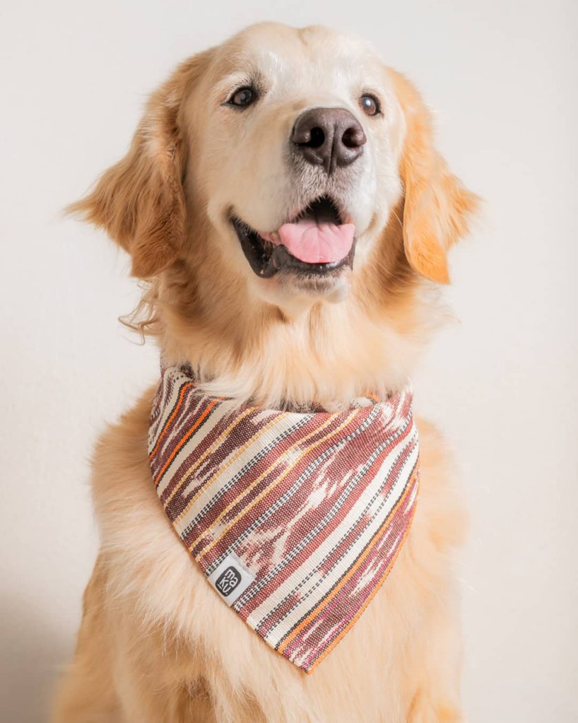 Bandana Retalhuleu | Bandana para mascotas con tela típica - Imagen 2