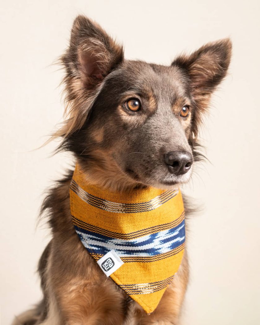 Bandana Zacapa | Pañuelo para perro o gato de tela típica - Imagen 2
