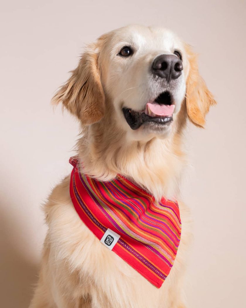 Bandana Quiché | Pañuelo para perro o gato de tela típica - Imagen 2