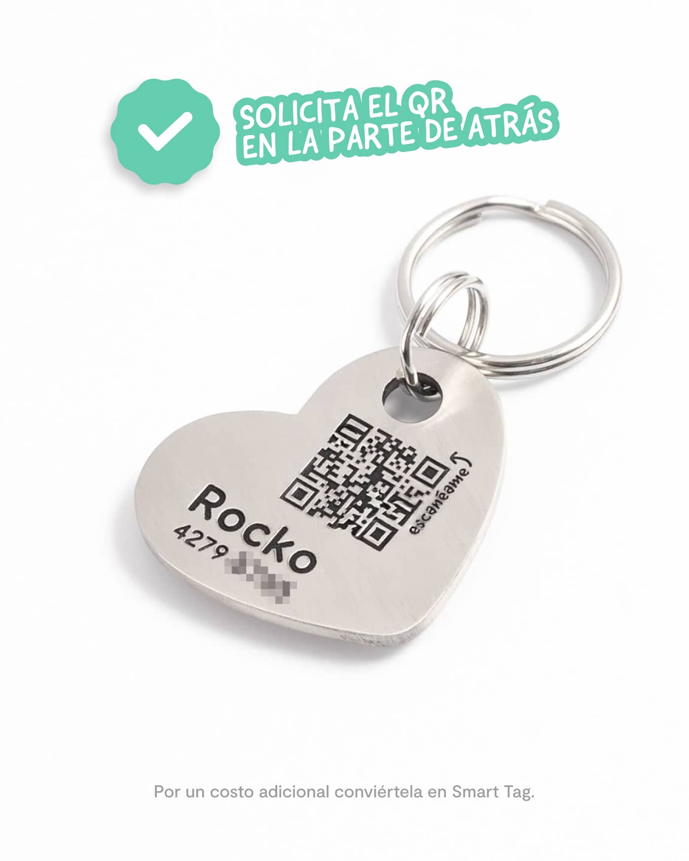 Best Buddy / Placa de identificación para perro - Imagen 6