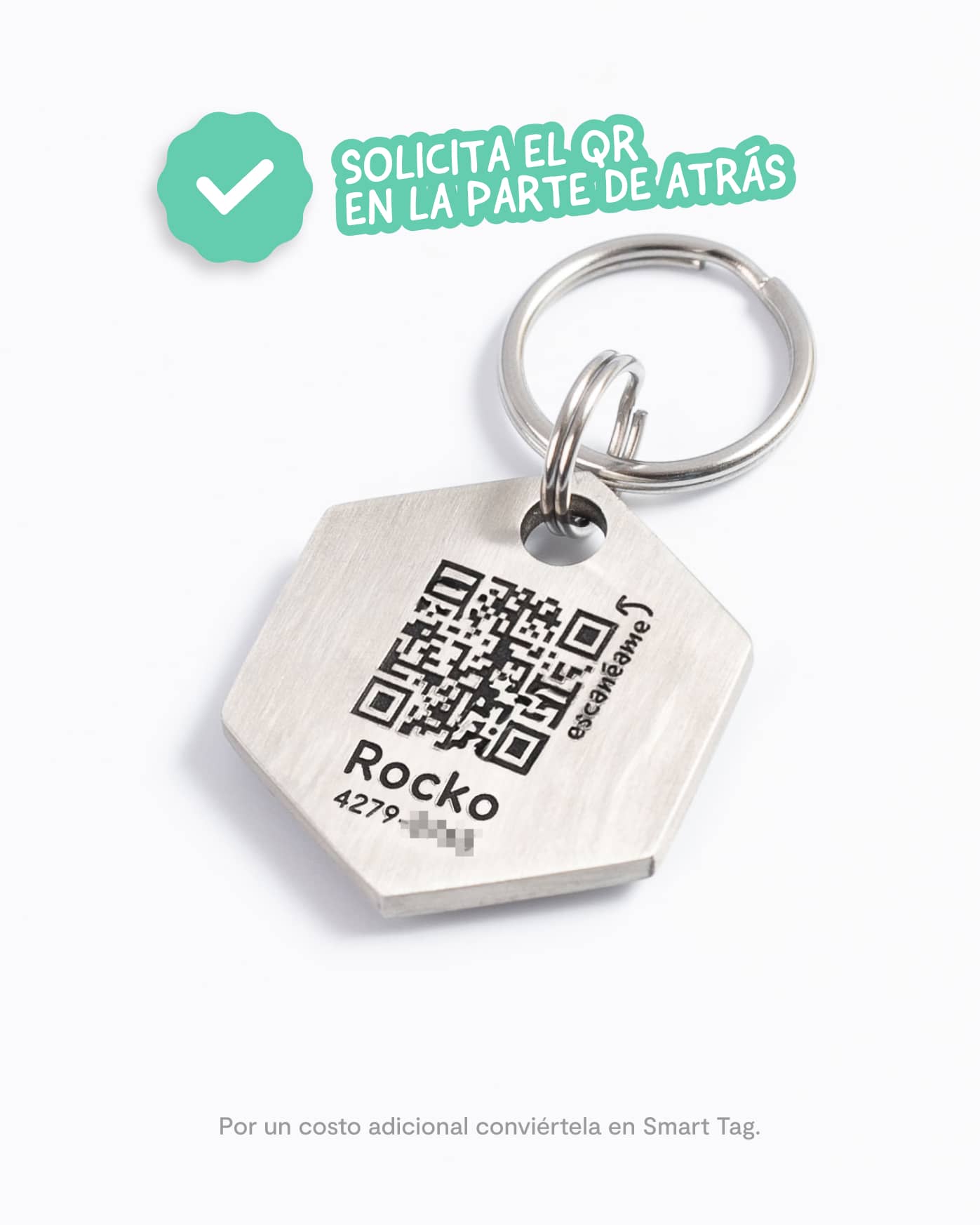 Always Hungry / Placa de identificación para perros - Imagen 5