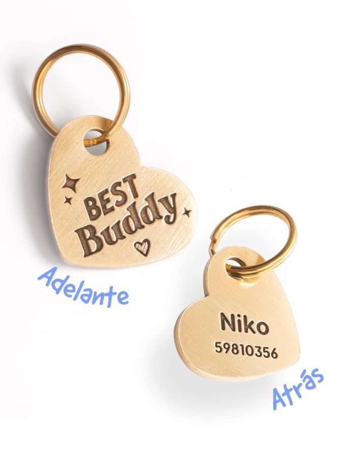 Best Buddy / Placa de identificación para perro