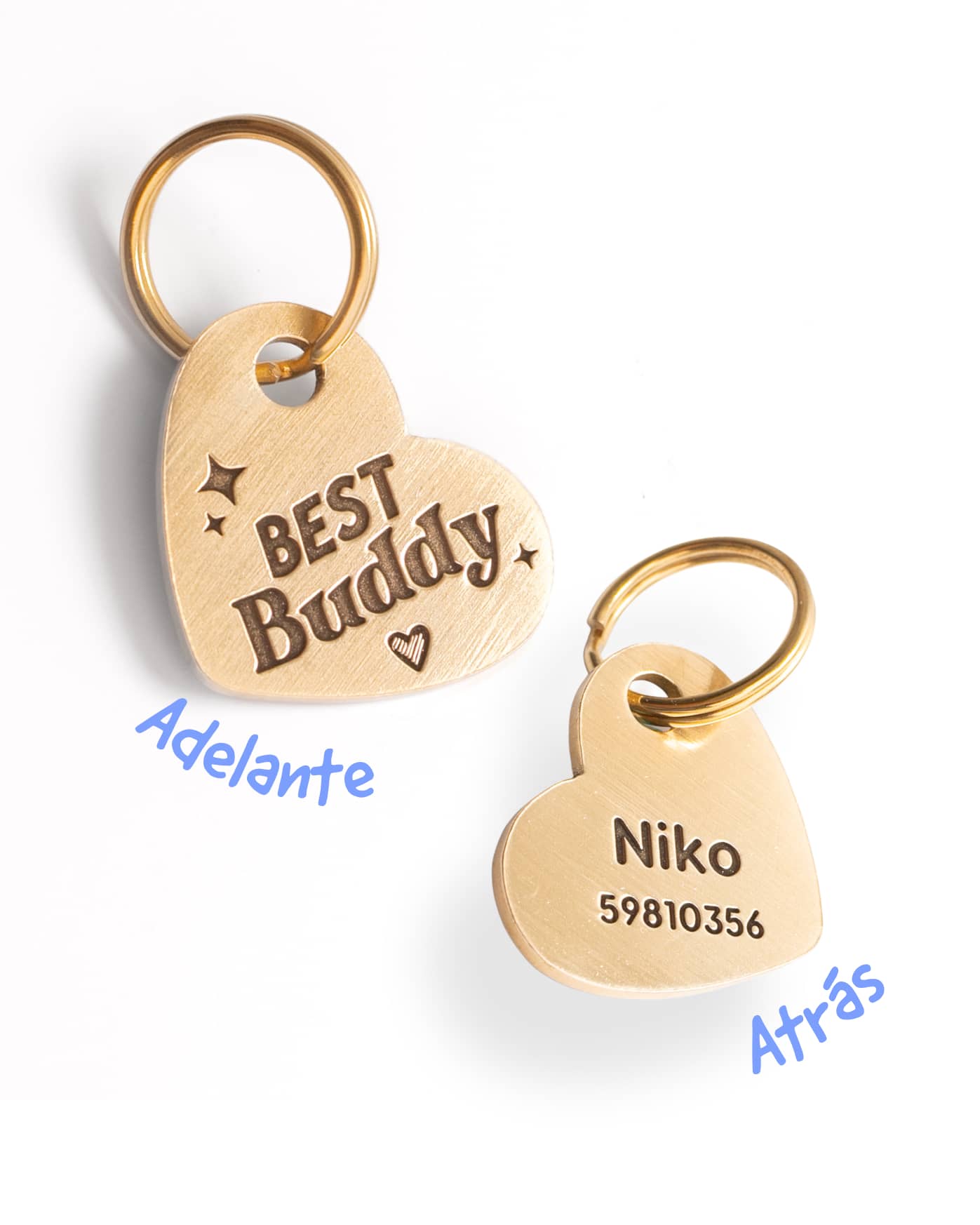 Best Buddy / Placa de identificación para perro