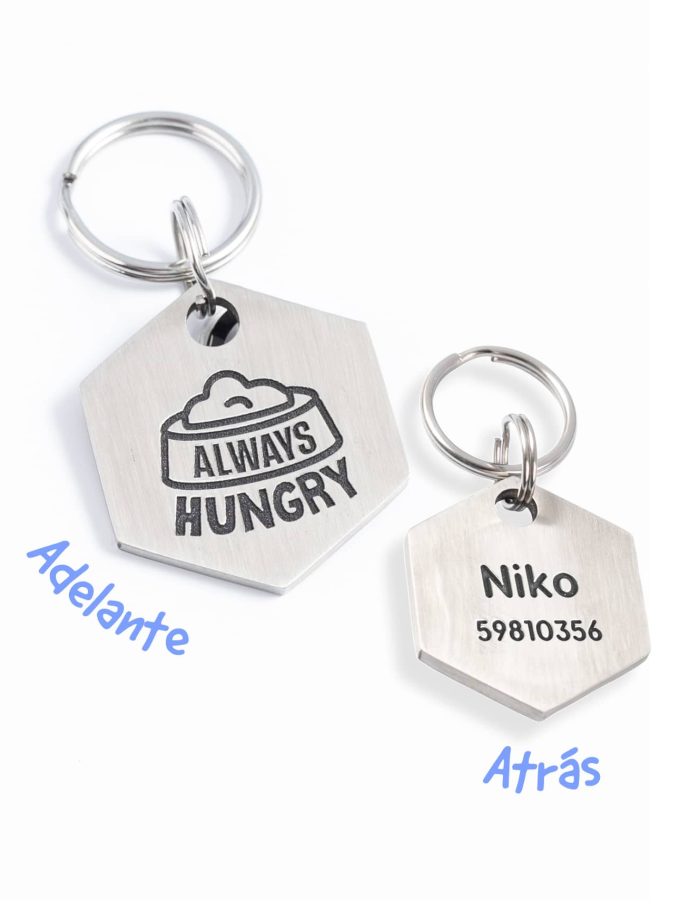 Always Hungry / Placa de identificación para perros