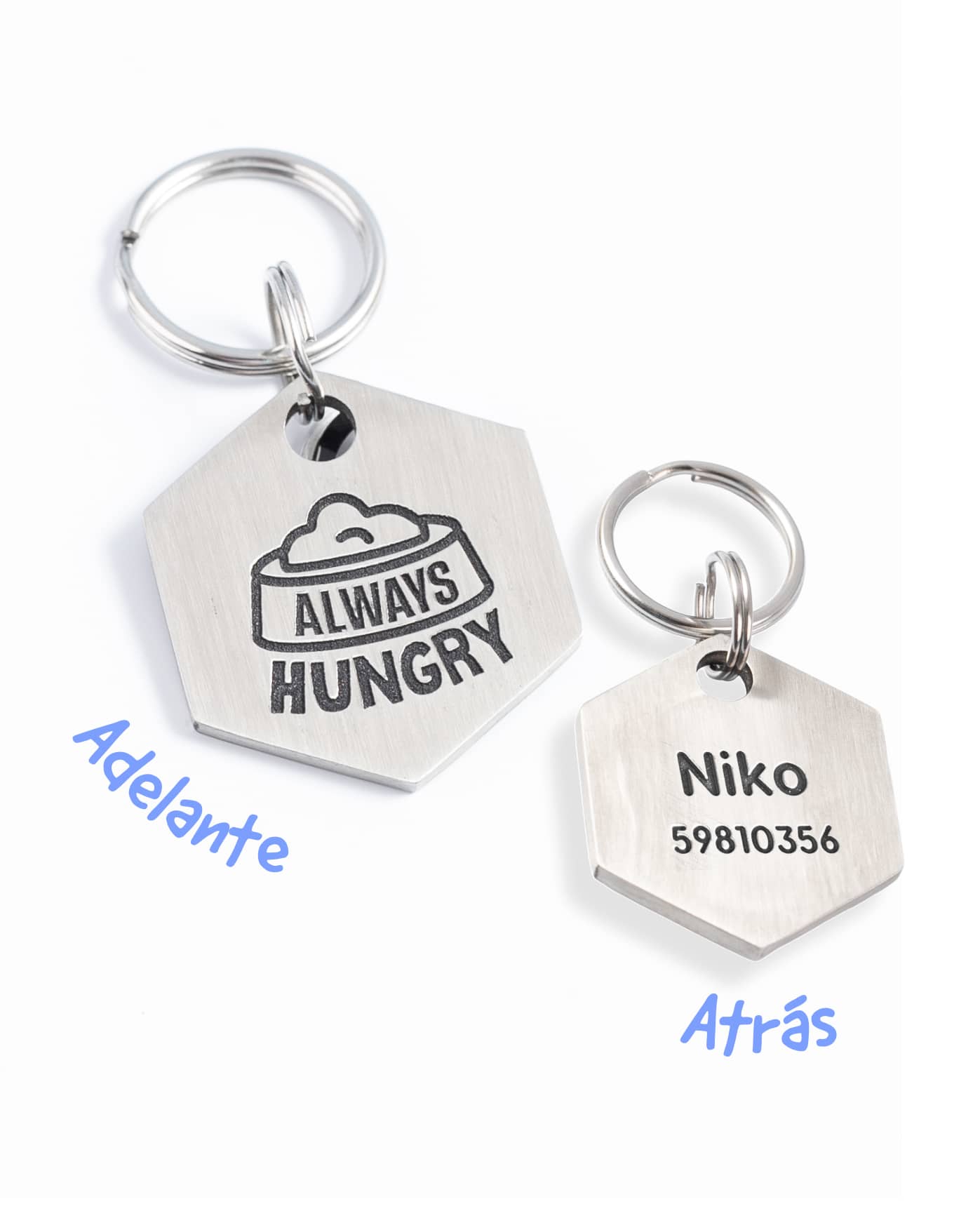 Always Hungry / Placa de identificación para perros
