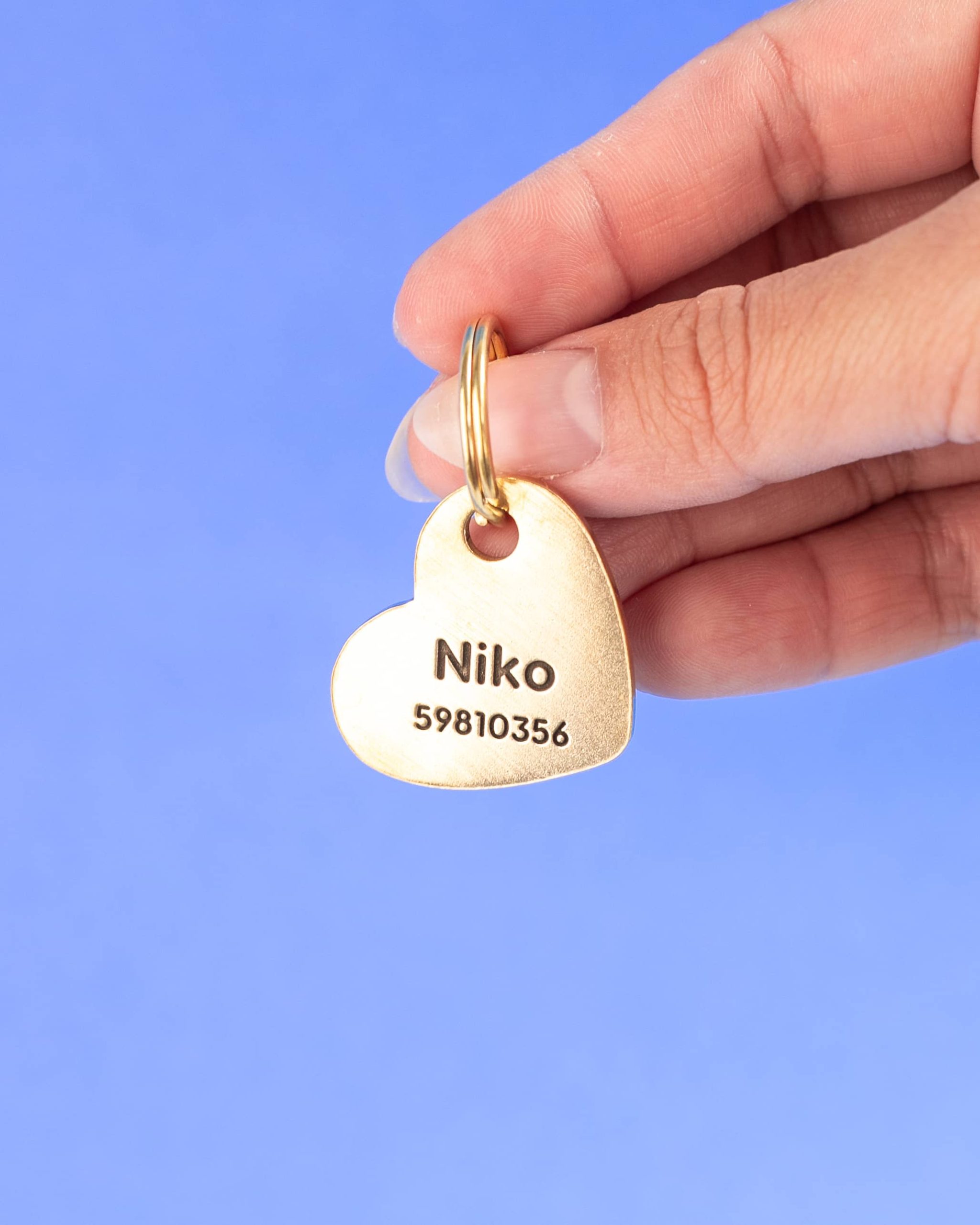 Best Buddy / Placa de identificación para perro - Imagen 4