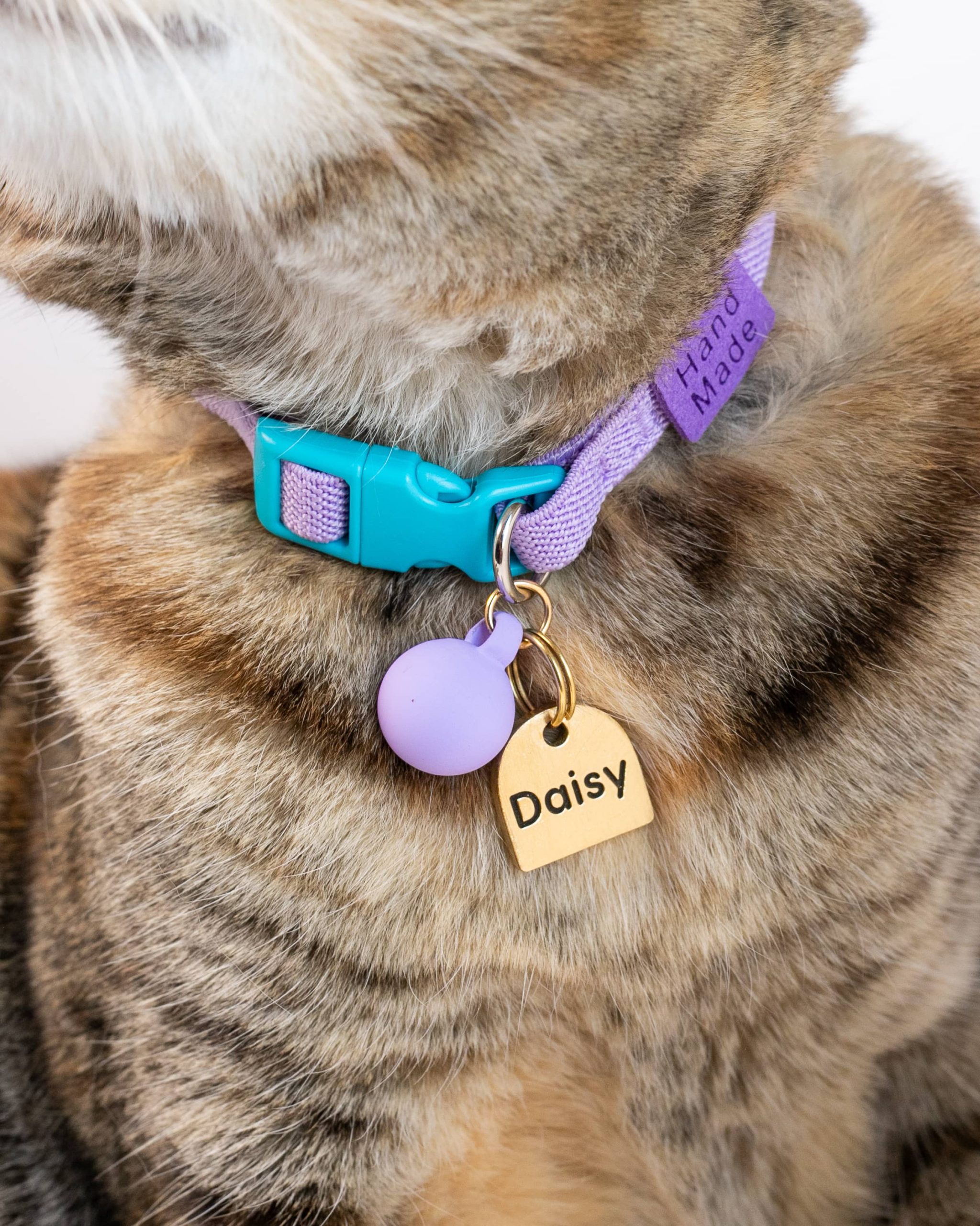Kit collar para gato + plaquita personalizada - Imagen 4