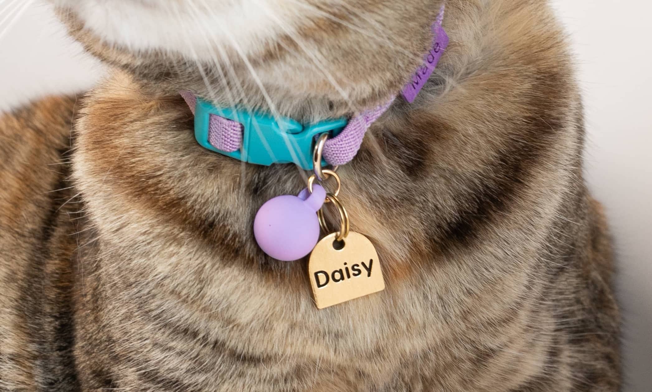 Plaquita de identificación personalizada en collar de perro, grabado con nombre y teléfono, hecha en Guatemala por Maku