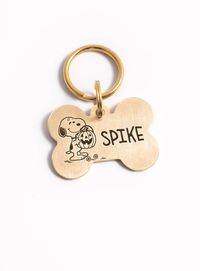 Placa de identificación personalizada para mascotas – Edición Halloween