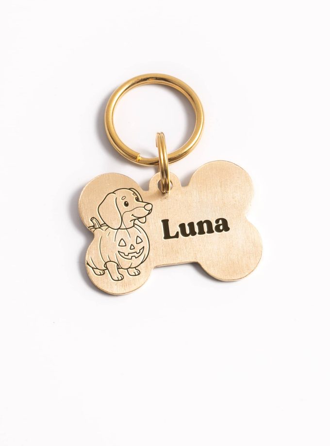 Placa de identificación personalizada para mascotas – Edición Halloween